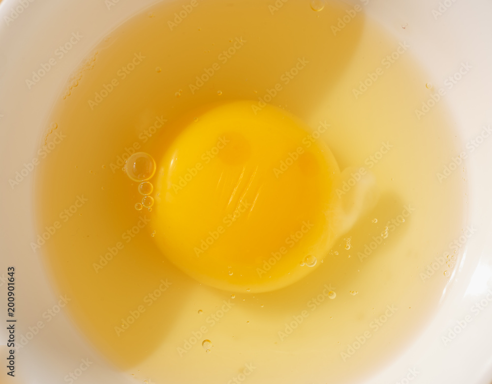 egg