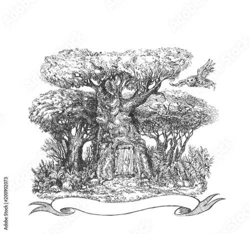 Fairy-tale forest. The tree. Fairy tale.