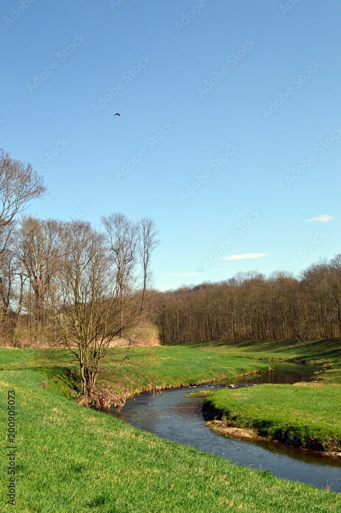 beautiful spring landscape with river, grass and blooming trees, Germany, Leipzig