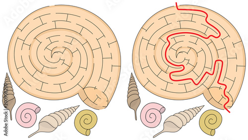 Easy shell maze