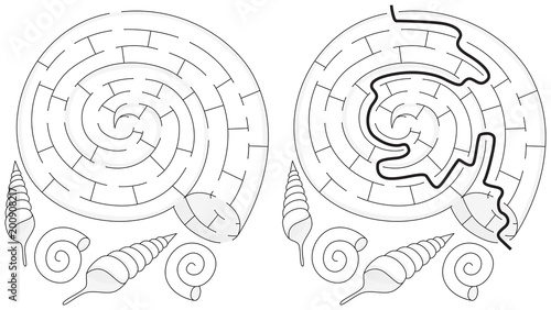 Easy shell maze