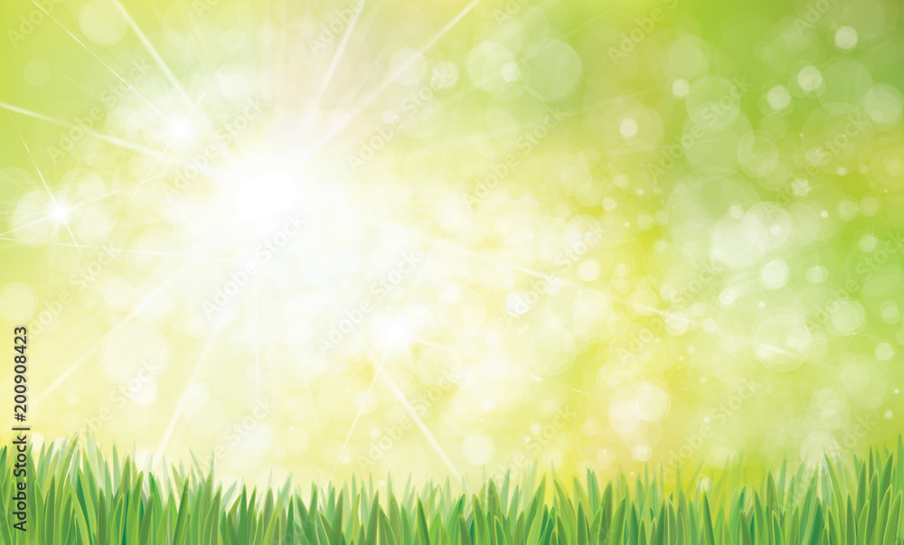 Vector summer, bokeh, nature background with green grass border.