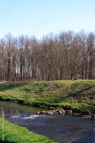 beautiful spring landscape with river, grass and blooming trees, Germany, Leipzig