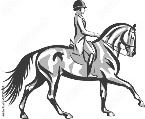 A dressage rider on a horse execute the canter.