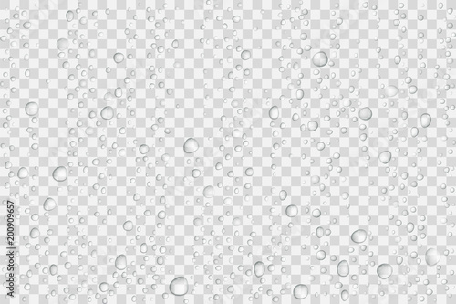 Vector Water drops on glass. Rain drops on transparent background