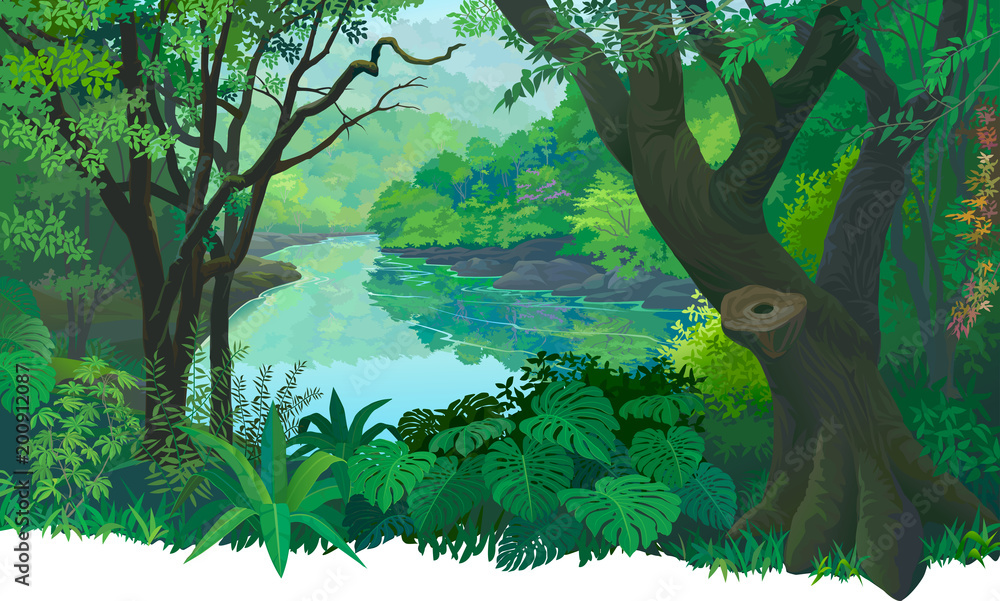 Naklejka premium Gęsty, zielony las tropikalny i płynąca rzeka słodkowodna.