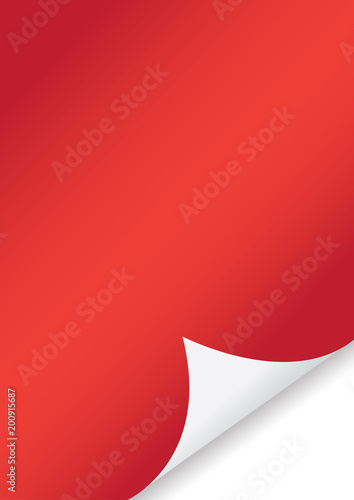 Vector of curled corner A4 paper with shadow on transparent background