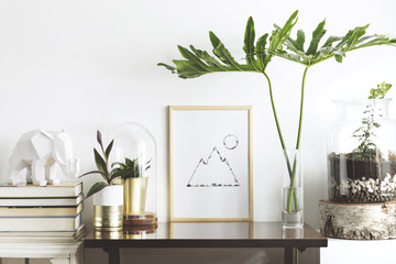 Interior decoration with plants and frame