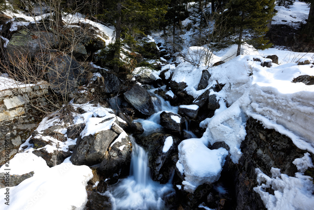 Obraz premium View from the Swiss Alps. / Beautiful Nation, lovely Switzerland 