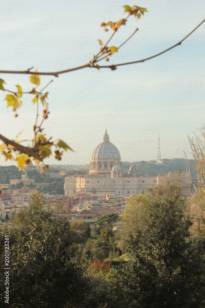 Fototapeta premium view of the Vatican city