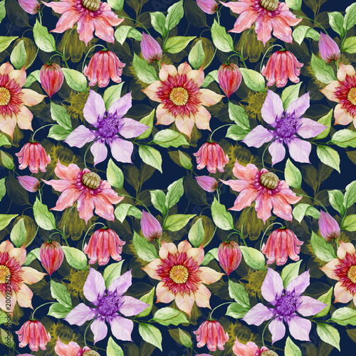 Beautiful clematis flowers on climbing twigs against black background. Seamle...