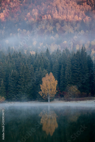 Sunrise in the forest.Autum...