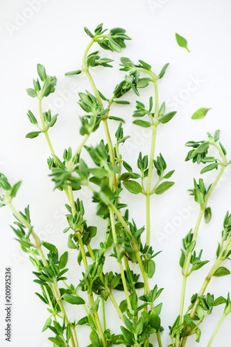 Macro image of bunch of fresh thyme on white background