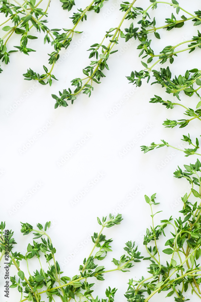 Overhead view of thyme leaves and twigs arranged in frame form with text space on white background Overhead view of thyme leaves and twigs arranged in frame form with text space on white background