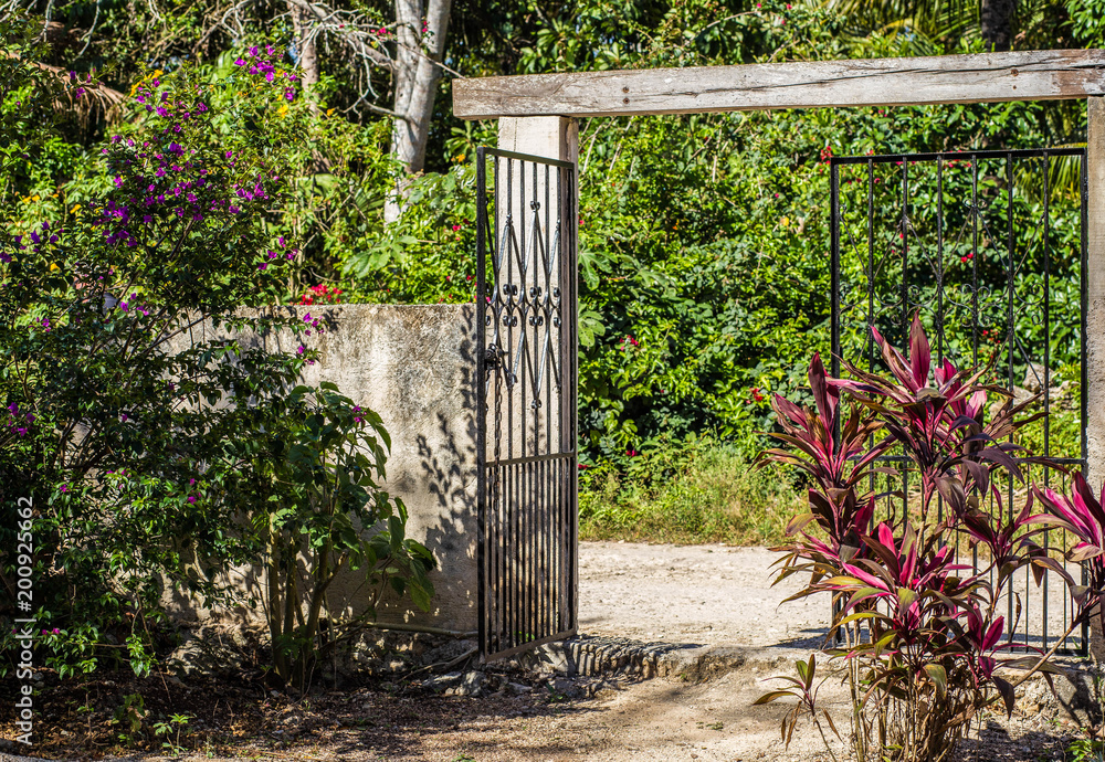 Black fence in a tropical colorful exotic garden Black fence in a tropical colorful exotic garden