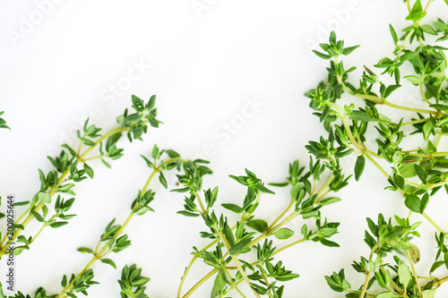 Close up shot with thyme leaves and twigs arranged on white background with text space. Selective focus