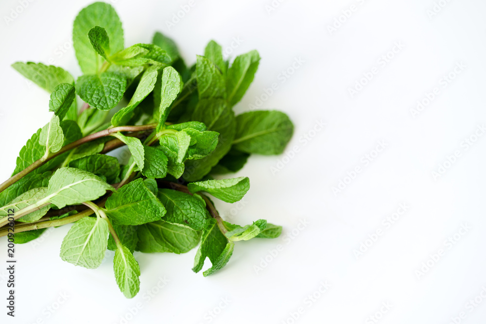 Overhead view of fresh mint leaves on white background with copy space Overhead view of fresh mint leaves on white background with copy space