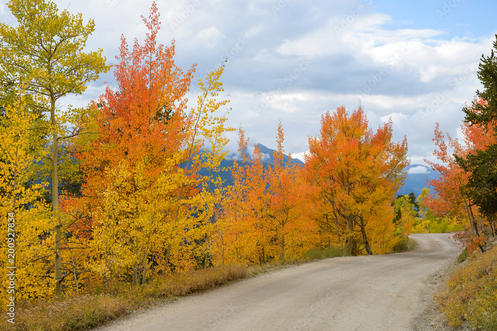 Autumn Mountain Road - Colorful Autumn mountain road -- Boreas Pass, near Breckenridge, Colorado, USA.