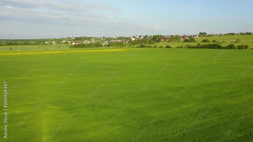 Aerial Drone Shot over Large Green Wheat Field Aerial Drone Shot over Large Green Wheat Field