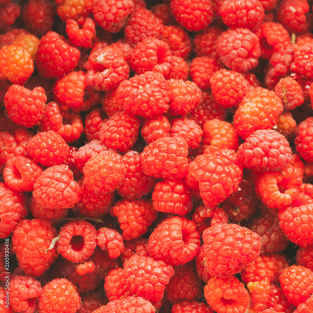 Fresh Red Sweet Berries Raspberries Background. Fresh Red Sweet Berries Raspberries Background.