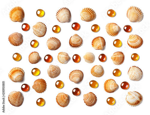 Pattern made of shells and orange glass beads isolated on white background