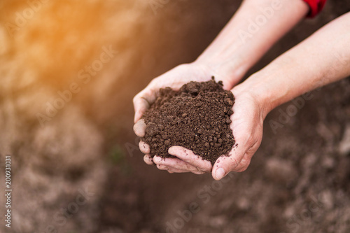 Close up image womans hands holding soil 