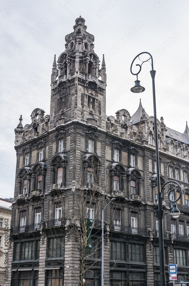 Obraz premium historical Building in Budapest