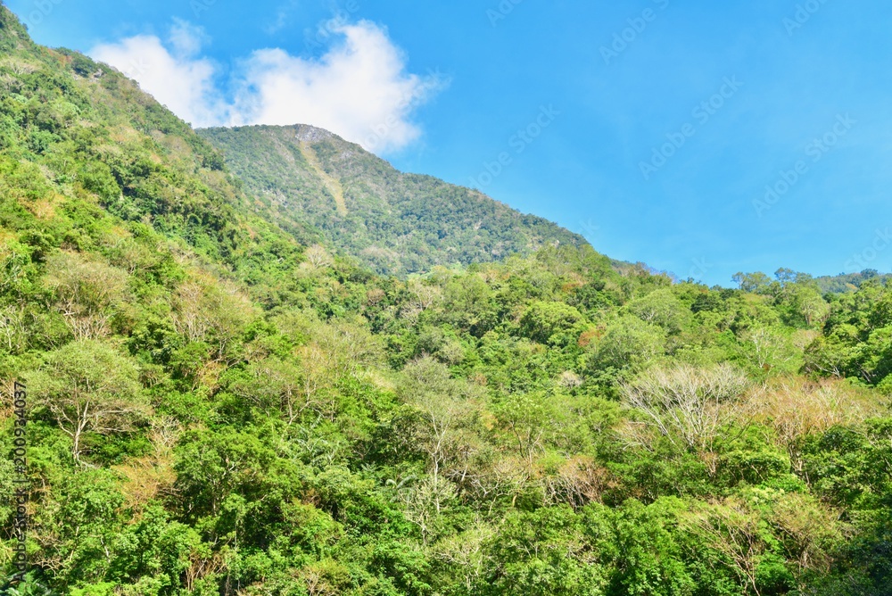 Scenery of Green Mountains Near Qingshui Cliff in Taroko National Park
