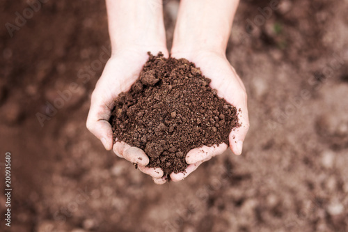 Close up image womans hands holding soil 