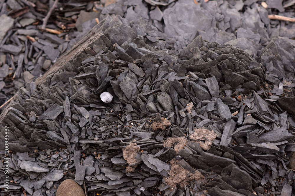 Cracked shale chips abstract texture background. Cracked shale chips abstract texture background.