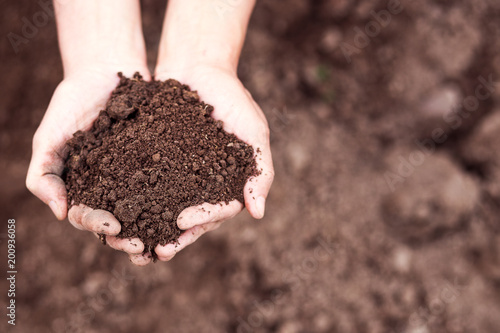 Close up image womans hands holding soil 