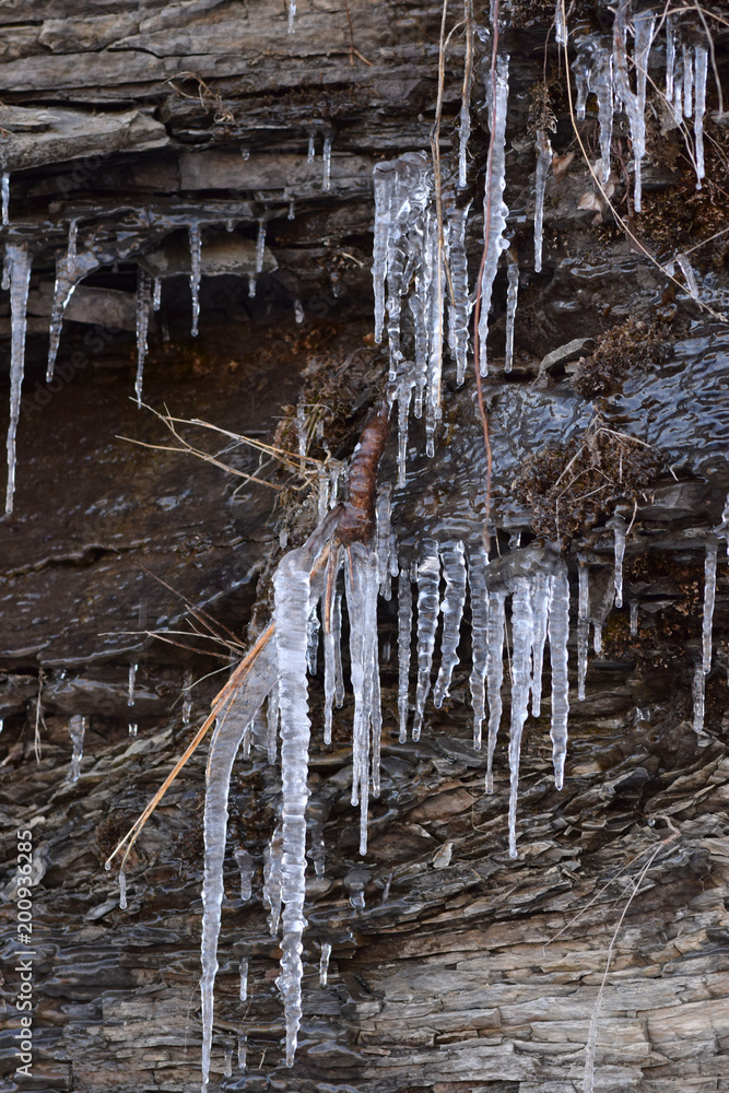 Icicles on a broken shale wall. 