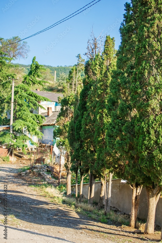 Landscape in a mountain village in the summer.