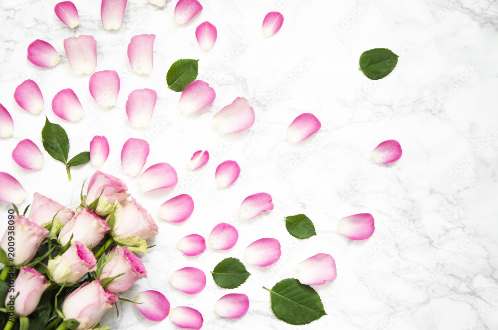 Pink rose flowers on marble background