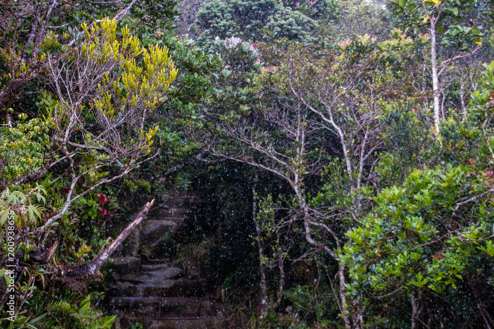 Fototapeta premium kinabalu
