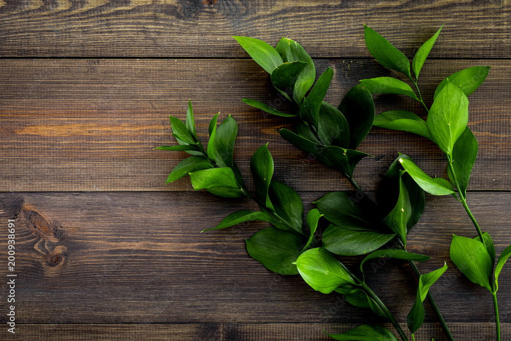 Summer concept. Bright greenery. Sprig with green foliage on dark wooden top view space for text Summer concept. Bright greenery. Sprig with green foliage on dark wooden top view space for text