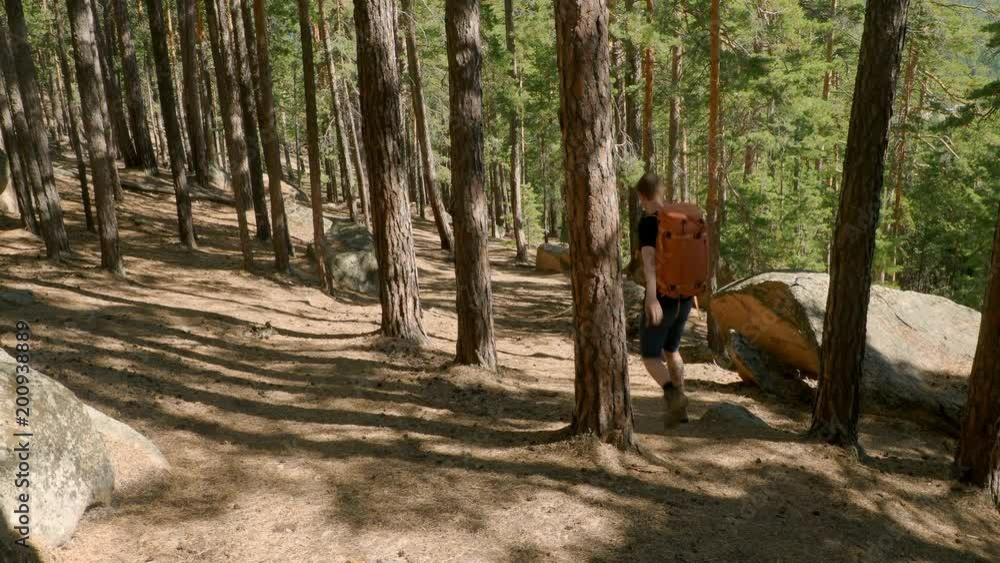 Man hiking through pine forest in Kazakhstan Man hiking through pine forest in Kazakhstan