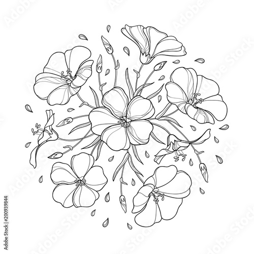Vector round bouquet with outline Flax plant or Linseed or Linum. Flower bunch, bud and leaf in black isolated on white background. Ornate Flax in contour style for summer design and coloring book. 