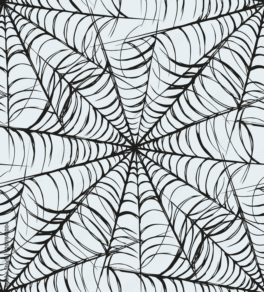 Web. Vector drawing