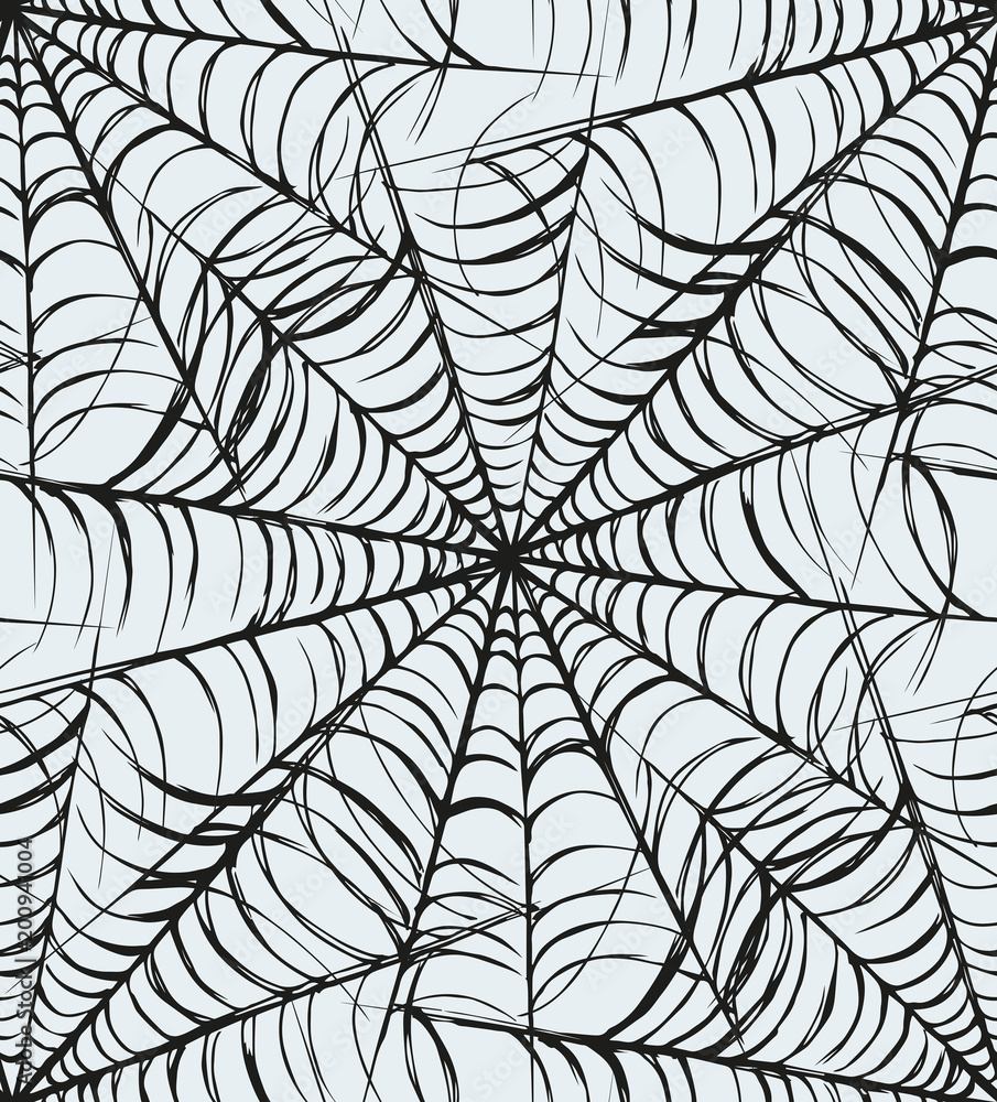 Fototapeta premium Web. Vector drawing