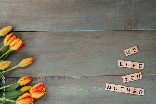 Colorful tulips on weathered green planks. Tile letters with sentiment for Mother's Day.