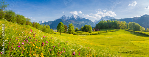 Beautiful summer landscape in the Alps with blooming meadows in spring