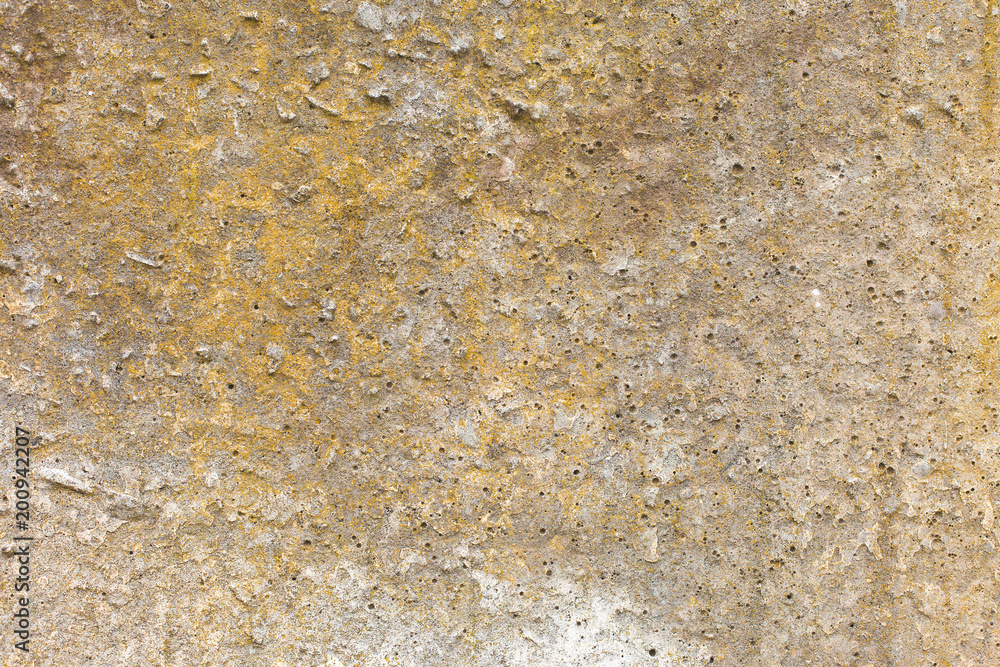 Asbestos slate texture concrete covered with lichen and moss Asbestos slate texture concrete covered with lichen and moss