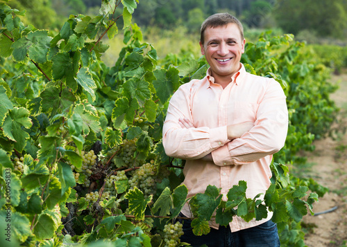фотографія Vintner with clusters of grape