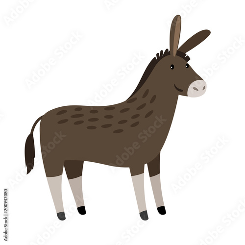 Vector Donkey. Funny donkey or mule isolated on white