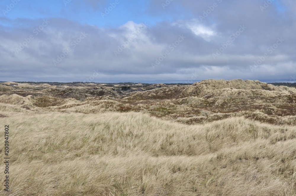 Dünenlandschaft