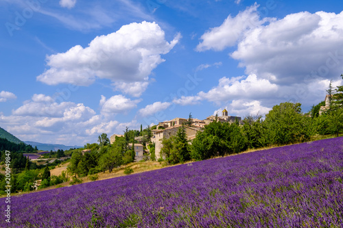 Vue sur lr village d'Aurel en été, Provence, France. Champ de lavande au premier plan.