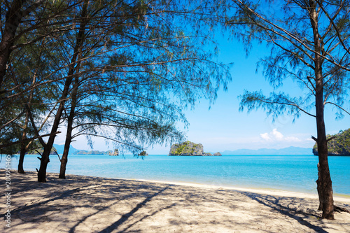 Fototapeta Naklejka Na Ścianę i Meble -  Tropical Paradise and white sand on deserted beach with trees in beautiful lagoon on island in ocean