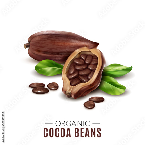 Realistic Cocoa Composition