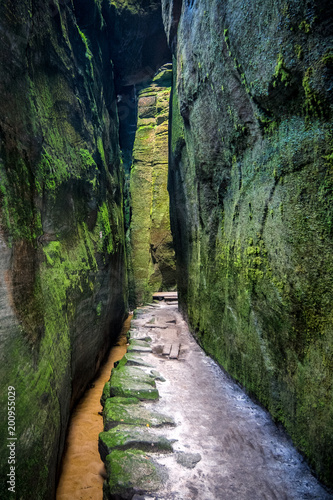 Walkway through rocky gorge, Adrspach - Teplice rocks, Czech republic, Europe.